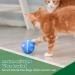 AUKL Interactive Dog Toy | Wicked Ball - Self Moving & Motion Activated - Buy Online on GoSupps.com