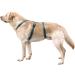 Kerbl 80045 Panic Harness Miami - Escape-Proof Design Petrol Color Adjustable 64-100cm | Shop Now for International Shipping - Buy Online on GoSupps.com
