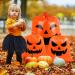 STEFORD Halloween Pumpkin Leaf Lawn Bags - Set of 6 | Jack O Lantern Yard Fall Leaf Trash Bags | Halloween Decorations & Party Favors - Buy Online on GoSupps.com