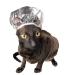 Kotomoda Shower Caps for Sphynx Cats and small pets 20pcs Transparent