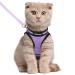 Rabbitgoo cat dishes with line dishes cats outbreakingly adjustable soft with reflective stripes for cats kitten light purple l l (1 Pack) light purple