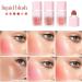 HERBENJOY Cream Blush Set - 4 Colors Soft Blushers for Cheeks - Lightweight & Smudgeproof Liquid Blush - Dewy Finish - SET B 1ml - Buy Online on GoSupps.com