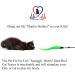 Pet Fit For Life Cat Toy - 5 Piece Worms Teaser and Exerciser for Interactive Play with Cat and Kitten - Buy Online on GoSupps.com