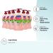 Softsoap Watermelon & Mint Moisturizing Liquid Hand Soap Pump - 11.25 oz (Pack of 6) - Buy Online on GoSupps.com
