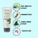 Refreshing Face Wash 2.7 Oz | Green Tea & Cinnamon Extract | Acne & Oily Skin Facial Cleanser for Men & Women | 80ml Facewash - Buy Online on GoSupps.com