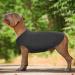 Hjumarayan Black XS Dog Sweater for Small Dogs - Washable Elastic Striped Shirt for Chihuahua & Yorkshire Terrier - Buy Online on GoSupps.com