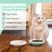 ComSaf Ceramic Cat Feeding Bowl Wide Shallow Cat Food Water Dish Whisker Friendly Design Whisker Fatigue Free shallow cat bowl Non Spill Pet Bowl 300ML Pack of 2 Green Green*2 - Buy Online on GoSupps.com