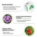LANBENA Acne Pimple Repair Serum | Salicylic Acid Essence for Acne Prone Skin | Soothing & Calming Treatment - Buy Online on GoSupps.com