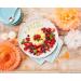 Dr. Oetker Original Vanilla Pudding Powder - 22 Pack | Delicious Dessert Mix | International Shipping - Buy Online on GoSupps.com