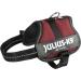 Shop K9 Powerharness 2XS/Baby 2 in Chestnut - Premium Dog Harness for Ultimate Comfort & Control | Fast International Shipping - Buy Online on GoSupps.com