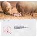 Sow Pregnancy Test Strips | Accurate Pig Pregnancy Diagnosis | High-Quality Tester for Sows - Buy Online on GoSupps.com