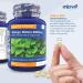 Ginkgo Biloba 6000mg Standardised Leaf Extract 360 Vegan Tablets with Vitamin B3 & B5 | Supports Focus, Mental Performance & Energy | Vegetarian Society Approved | 12 Months Supply - Buy Online on GoSupps.com