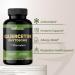 Gade Nutrition Quercetin Phytosome with Bromelain I Highly Purified 95% I 50X Higher Absorption - Most Effective Form of Quercetin Enhanced with Bromelain I Made in USA -Supplement for Men and Women - Buy Online on GoSupps.com