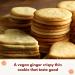 Nyakers Pepparkakor Swedish Ginger Snaps Cookies - Vegan Dairy-Free Gourmet Snacks in Beautiful Tin - 14.11oz (Blue) - Buy Online on GoSupps.com