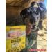 Grandma Lucy's Freeze Dried Chicken Pet Treats - Natural & Healthy - Buy Online on GoSupps.com