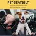 SungRow 2 Snug & Securable Dog & Cat Seat Belts - Universal Fit for Pet Safety While Riding in Cars - Buy Online on GoSupps.com