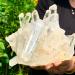 Crystal Rough Natural Transparent White Quartz Crystal Cluster Specimen 1pc Decoration (Size : 100-150g)