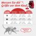 Rabbitgoo Adjustable Cat Dishes Set with Leash - Reflective Stripes for Cats & Kittens | Red M (1 Pack) - Buy Online on GoSupps.com