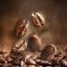 Saquella "Bar Italia 100% ARABICA" Slow Roasted Gourmet Italian Espresso Coffee Beans 1 kg bag - Buy Online on GoSupps.com
