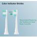 10 Pack Philips Sonicare Compatible Toothbrush Replacement Heads - Optimal Plaque Control Electric Brush Heads for 4100 5100 6100 9023 - Green-Blue - Buy Online on GoSupps.com