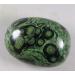 TYUTYU 1 Piece Eye Green Jasper Stromatolite Fossil Gemstone Stone