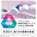 Panasonic EW-DP56 Doltz Bluetooth Electric Toothbrush - High Grade Safety Pink AC100-240V International Shipping from Japan (2022 Model - Buy Online on GoSupps.com