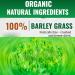 Naveta Barley Grass Powder 100% Pure & Organic -Organic Barley Grass Powder Juice Powder and Pure Powder for Women and Men by Naveta - Vegan-Friendly (3PCS) - Buy Online on GoSupps.com