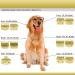 Buy BESTBOMG 2-Piece 7FC Replacement Knife for Dog Clippers | Compatible with Heiniger Moser Max45 Andis Easter A5 | Gold 1/8 inch Cut - Buy Online on GoSupps.com