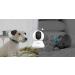 blurams Security Camera  2K Indoor Camera 360-degree Pet Camera for Home Security w/Motion Tracking  Phone App  2-Way Audio  IR Night Vision  Siren  Works with Alexa & Google Assistant White - Buy Online on GoSupps.com