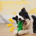 Rmolitty Indestructible Dog Toys - Durable Rubber Puppy Chewing & Squeaking Cactus Toy for Small to Medium Dogs - Buy Online on GoSupps.com
