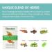 Himalaya Koflet Lozenges Orange Cardamom Flavor Provides Antioxidants Includes Ginger Cinnamon & Clove 20 Lozenges - Buy Online on GoSupps.com