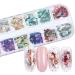 12 Colors Abalone Shell 3D Nail Art Sequins - UV Gel Flake Mermaid Decor - Buy Online on GoSupps.com