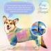 Kuoser Dog Tie Dye Pajamas - Colorful Soft Cotton Onesie for Small Medium Dogs - Breathable Dog Jumpsuit for Spring and Autumn | S Blue - Buy Online on GoSupps.com