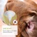 Reavet Ear Mite Oil Plus 50ml | Effective Ear Mite Remedy for Dogs with Chamomile - Soothing Ear Drops & Cleaners - Buy Online on GoSupps.com