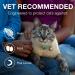 Advantage II Large Cat Flea Prevention & Treatment, 6-Pack - Over 9 lbs - Buy Online on GoSupps.com