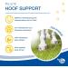 Nutrilabs Hoof Support Pellets 3 KG - Premium Dietary Supplement for Horse Hoof Care with Biotin & MSM | Enhance Equine Health - Buy Online on GoSupps.com