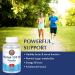 KAL Inositol Powder 550mg | Brain, Nervous System & Mood Support | Healthy Glucose Metabolism | 8oz - 408 Servings - Buy Online on GoSupps.com