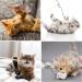 Buy Fanshionide 4-Piece Interactive Cat Toy Set - Spring Fishing Toys with Plush Mouse Fish & Bird for Engaging Cat Play | Shop Internationally - Buy Online on GoSupps.com