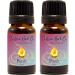 Purify Essential Oil Blend - 100% Pure & Natural Aromatherapy - International Shipping Available - Buy Online on GoSupps.com