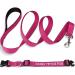 Tagme Personalized Reflective Dog Collar & Leash Set for Large Dogs - Hot Pink Double-Sided 1.5m Leash - Buy Online on GoSupps.com