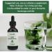 Liquid Chlorophyll Drops Chlorophyll Liquid Drops for Water Chlorophyll Liquid Drops Energy Boost Immune System Support - Buy Online on GoSupps.com