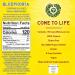 Guayaki Yerba Mate Organic Bluephoria Clean Energy Drink 15.5oz (Pack of 12) - 150mg Caffeine - Bluephoria Flavor - Buy Online on GoSupps.com