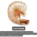 EQUALS Healthy Kidney Supplements for Cats 50g - Buy Online on GoSupps.com
