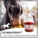 Supravit Carrot Chips for Horses - 2kg Bucket | Tasty & Digestible Dried Treats - Healthy Supplementary Feed - Buy Online on GoSupps.com