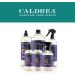 Caldrea Lavender Cedar Leaf Countertop Spray Cleaner 16 oz - 3 Pack - Buy Online on GoSupps.com