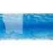 AMTRA MYSTIC - Aquarium poster background aquarium decoration decorative poster with double print format 60x150cm 60x150 cm - Buy Online on GoSupps.com