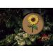 Dedoot Wood Canvas Boards for Painting - Set of 3 Round Unfinished Fiberboard Panels - Artist Painting Boards with 0.6 Deep Cradle - 5.7, 7.8 & 9.7 Diameter - Buy Online on GoSupps.com