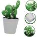 Alipis Potted Cactus Ornament Fake Planta Decor Plastic Flower Pots Plastic Plant Pots Porcelain Artificial Greenery Desktop Adornments Simulation Cactus Statue Silk Flowers Fake Bonsai Green 19X9CM - Buy Online on GoSupps.com