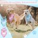 Gender Reveal Dog Bandana Set for Medium Large Dogs | Team Girl Team Boy Baby Announcement Photo Prop - Buy Online on GoSupps.com