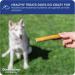 Downtown Pet Supply Bully Sticks for Dogs (6" 10-Pack Jumbo) Non-GMO Grain Free Rawhide Free Dog Chews Long Lasting Pizzle Sticks - Low Odor Bully Sticks for Large Dogs - Buy Online on GoSupps.com
